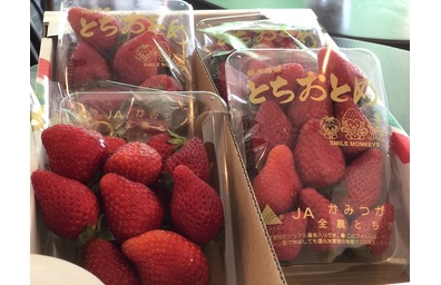 とちおとめ入荷しました