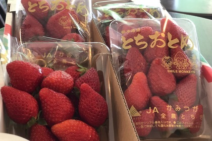 とちおとめ入荷しました